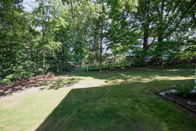 152 Bart Dr, Poughkeepsie, NY 12603 - view of grassy yard