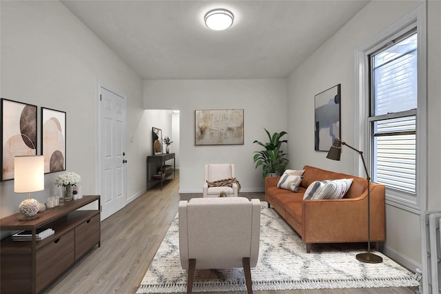 58-60 78th Ave, Glendale, NY 11385 - living room with light wood-type flooring and baseboards