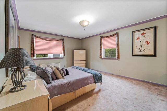 162-41 Powells Cove Blvd Unit 4D, Beechhurst, NY 11357 - bedroom with crown molding and light colored carpet