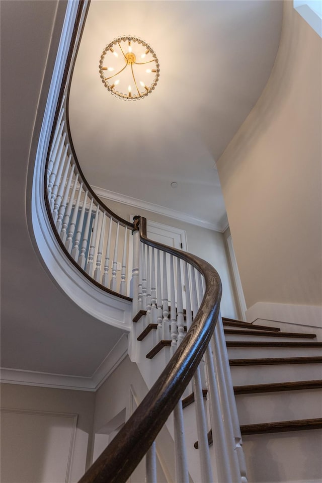 236 Stewart Ave, Garden City, NY 11530 - photo 16