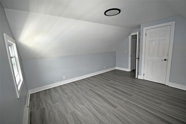 67 Maplewood Dr, Westbury, NY 11590 - bonus room featuring vaulted ceiling and dark wood-type flooring
