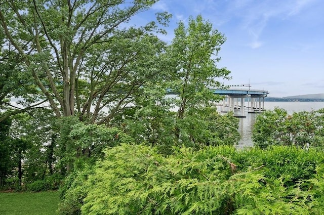 119 Tappan Landing Rd, Tarrytown, NY 10591 - photo 5