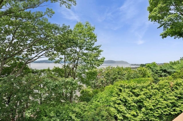 119 Tappan Landing Rd, Tarrytown, NY 10591 - photo 7