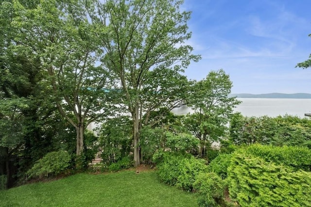 119 Tappan Landing Rd, Tarrytown, NY 10591 - photo 42