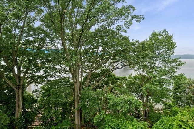 119 Tappan Landing Rd, Tarrytown, NY 10591 - photo 43