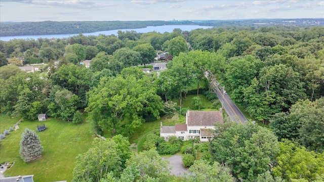 230 Westlake Dr, Valhalla, NY 10595 - aerial view of a nearby body of water and a heavily wooded area