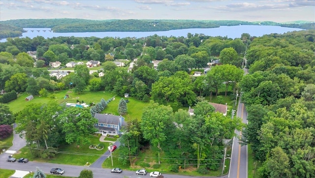 230 Westlake Dr, Valhalla, NY 10595 - aerial view of a large body of water and a forest