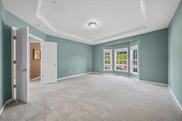 13 Nicole Ct, Copiague, NY 11726 - spare room with a tray ceiling, carpet flooring, and ornamental molding