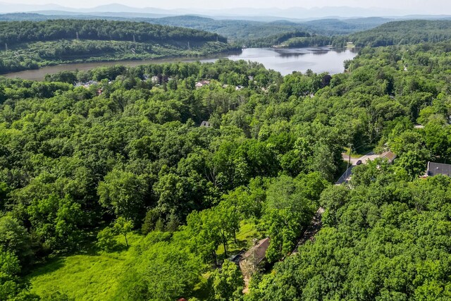 1365 Old Post Rd, Esopus, NY 12487 - photo 34