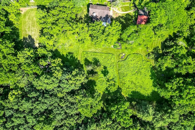 1365 Old Post Rd, Esopus, NY 12487 - photo 35