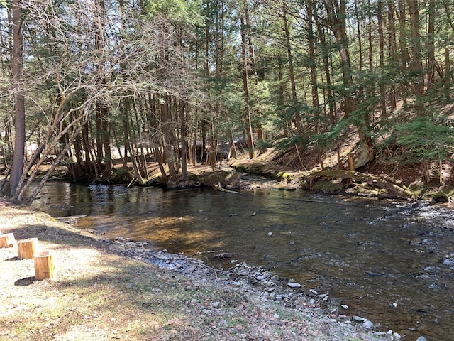 604 Basket Rd, Long Eddy, NY 12760 - water view