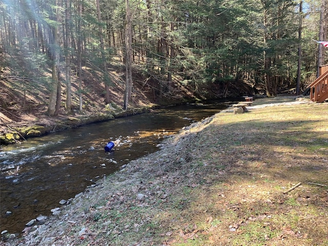 604 Basket Rd, Long Eddy, NY 12760 - view of yard