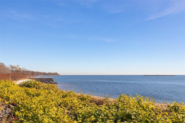 221 Winding Woods Loop Unit 55, Staten Island, NY 10307 - water view