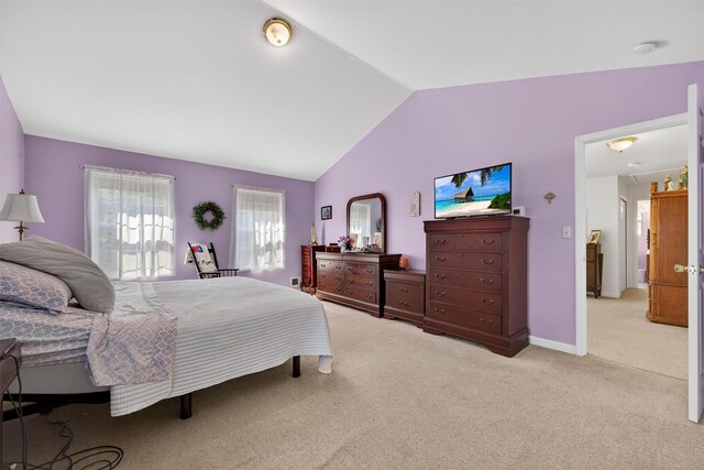 20 Bristol Cir, Rock Hill, NY 12775 - photo 26