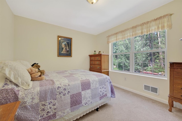 20 Bristol Cir, Rock Hill, NY 12775 - photo 30