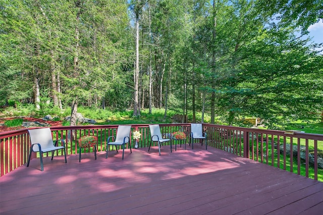 20 Bristol Cir, Rock Hill, NY 12775 - photo 40
