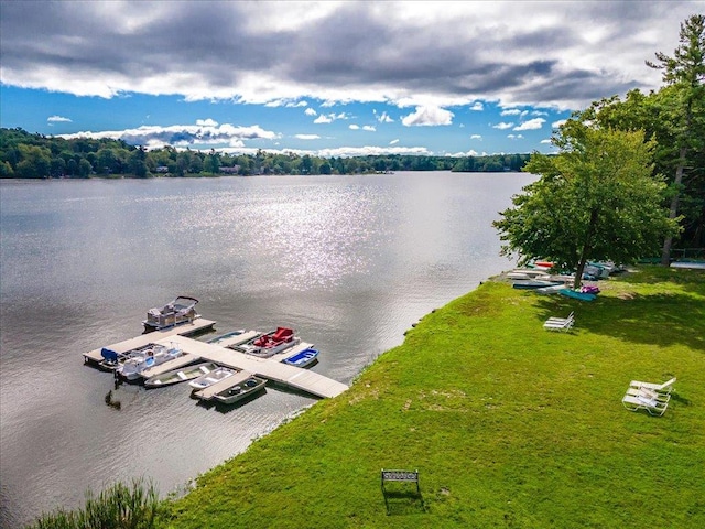 20 Bristol Cir, Rock Hill, NY 12775 - photo 50