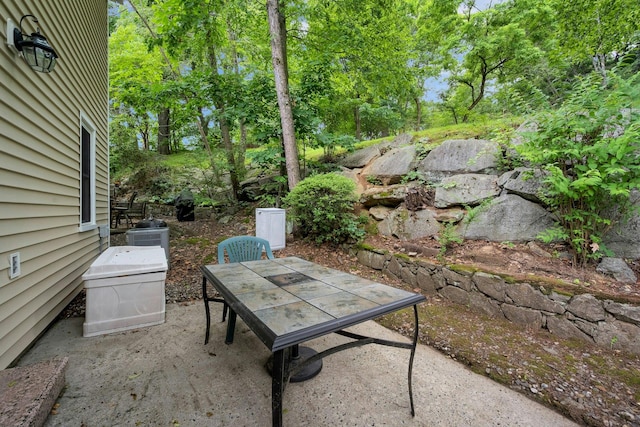 392 Carrollwood Dr, Tarrytown, NY 10591 - photo 32