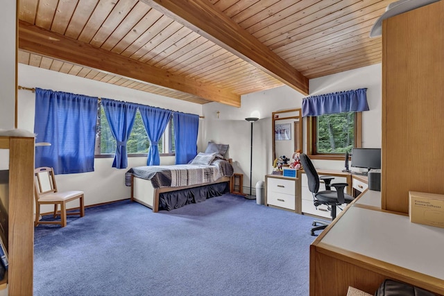 20 Deer Ridge Rd, Garrison, NY 10524 - photo 12