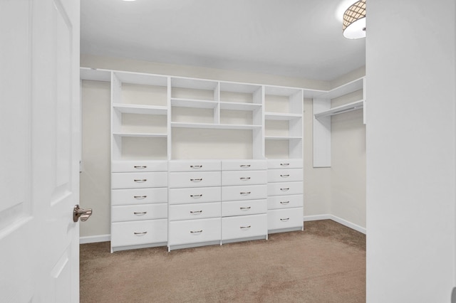 2509 Sylvan Loop, Wappingers Falls, NY 12590 - walk in closet with light carpet