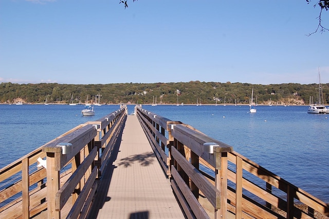 3 Silver Beech Ct, Setauket, NY 11733 - photo 46