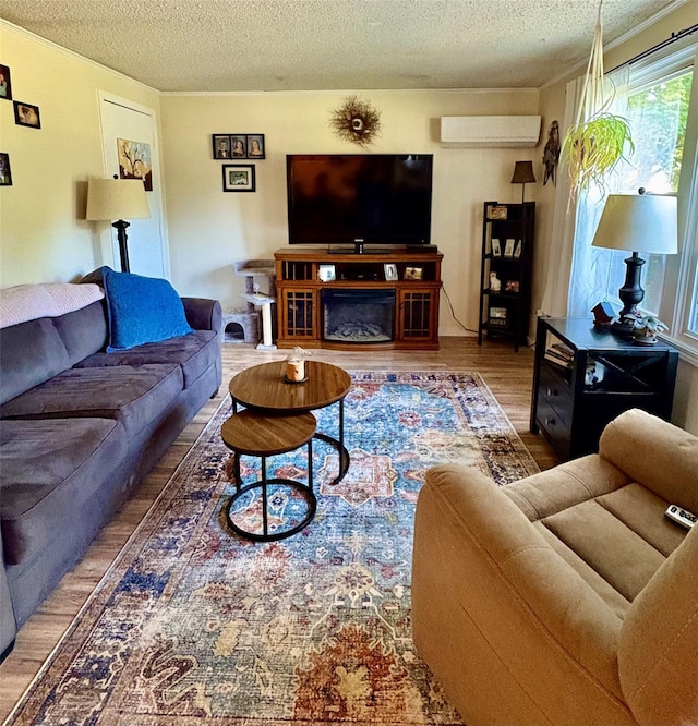 18 Amherst Rd, Red Hook, NY 12571 - living room with a wall mounted air conditioner, wood finished floors, and a textured ceiling