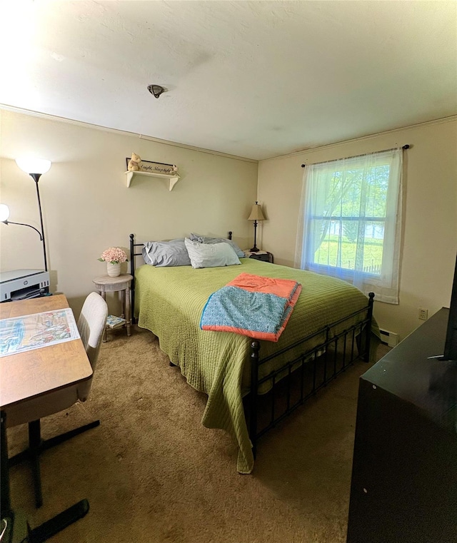 18 Amherst Rd, Red Hook, NY 12571 - carpeted bedroom featuring baseboard heating