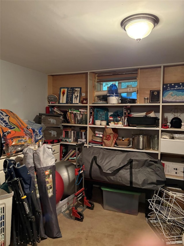 18 Amherst Rd, Red Hook, NY 12571 - view of storage room
