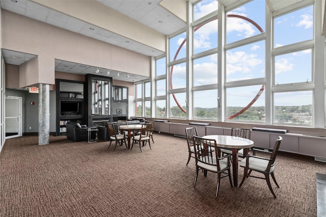 10Stewart Place 3Hw, White Plains, NY 10601 - carpeted dining area with a high ceiling