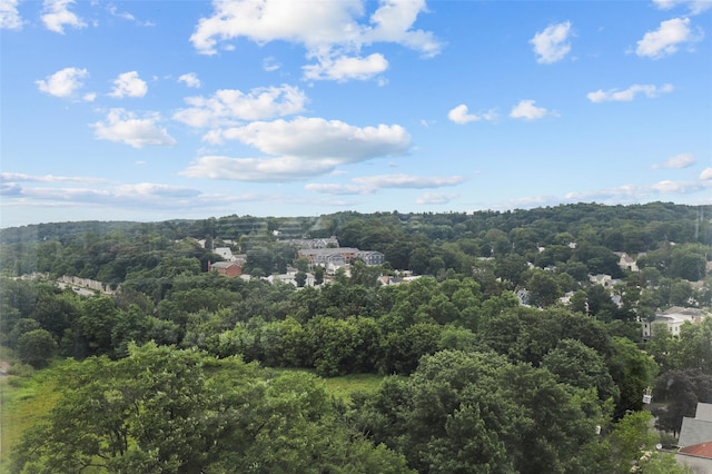 10Stewart Place 3Hw, White Plains, NY 10601 - bird's eye view of a forest