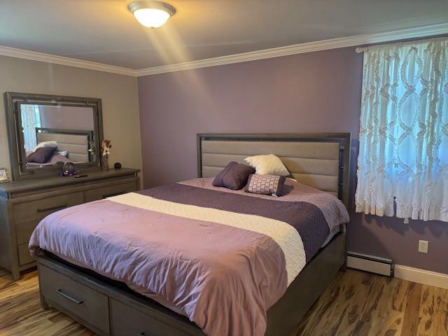 9 Macintosh Ln, Wappingers Falls, NY 12590 - bedroom featuring a baseboard heating unit, light wood-style flooring, and crown molding