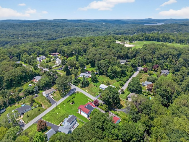 49 Oakridge Rd, North Salem, NY 10560 - aerial view of a forest