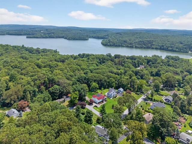 49 Oakridge Rd, North Salem, NY 10560 - drone / aerial view of a large body of water