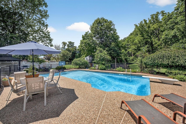 6 Spring Rock Rd, New Windsor, NY 12553 - view of pool featuring a patio, a diving board, and view of scattered trees