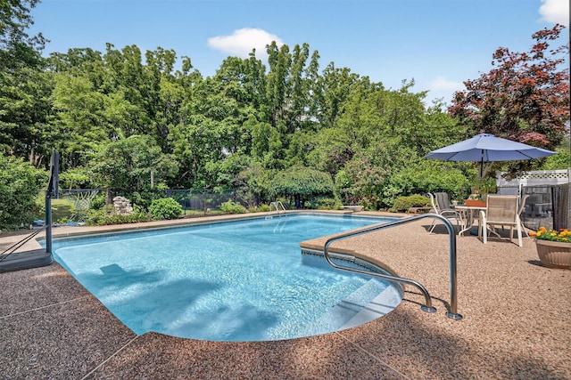 6 Spring Rock Rd, New Windsor, NY 12553 - view of swimming pool featuring a patio and view of scattered trees