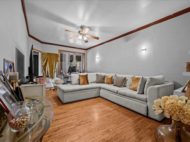 31 E 43rd St, Brooklyn, NY 11203 - photo 5