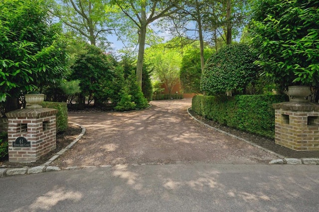 61 Hidden Cove Ct, Southampton, NY 11968 - view of yard
