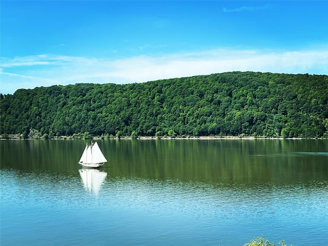 44 Hurlihe Unit 44, Poughkeepsie, NY 12601 - water view featuring a heavily wooded area