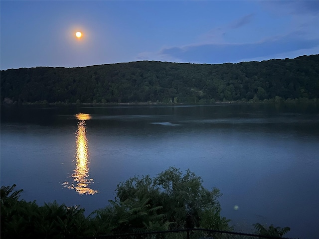 44 Hurlihe Unit 44, Poughkeepsie, NY 12601 - water view featuring a heavily wooded area