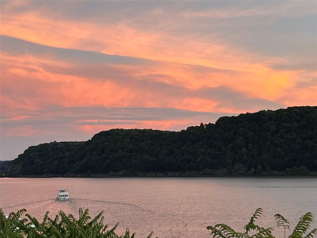 44 Hurlihe Unit 44, Poughkeepsie, NY 12601 - water view with a heavily wooded area