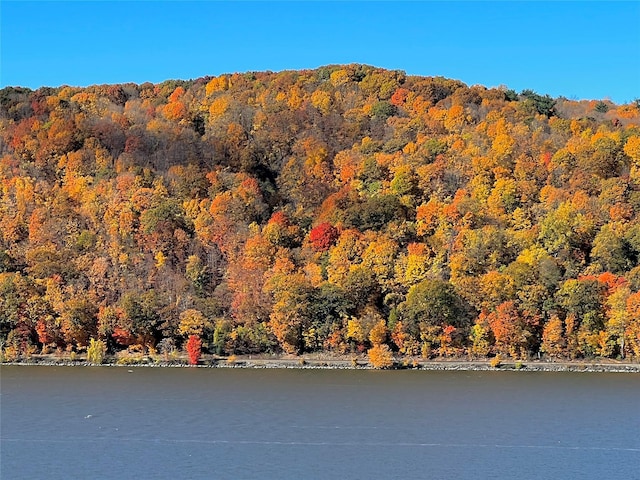 44 Hurlihe Unit 44, Poughkeepsie, NY 12601 - water view with a heavily wooded area