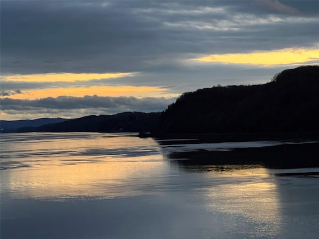 44 Hurlihe Unit 44, Poughkeepsie, NY 12601 - water view