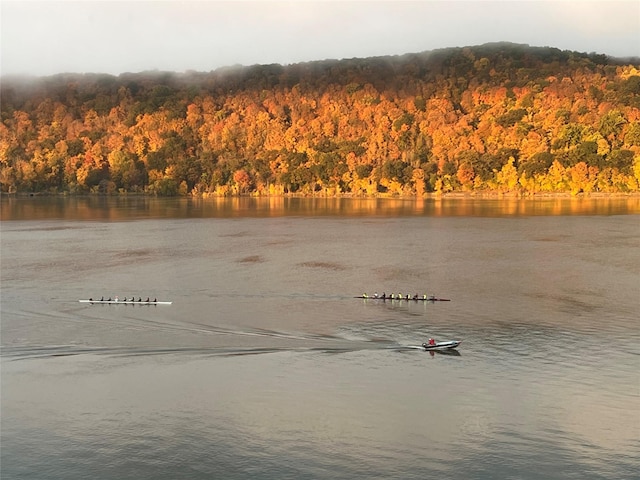 44 Hurlihe Unit 44, Poughkeepsie, NY 12601 - water view featuring a heavily wooded area