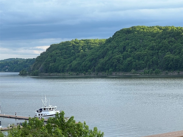 44 Hurlihe Unit 44, Poughkeepsie, NY 12601 - water view with a heavily wooded area and a boat dock