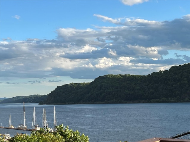 44 Hurlihe Unit 44, Poughkeepsie, NY 12601 - water view featuring a heavily wooded area