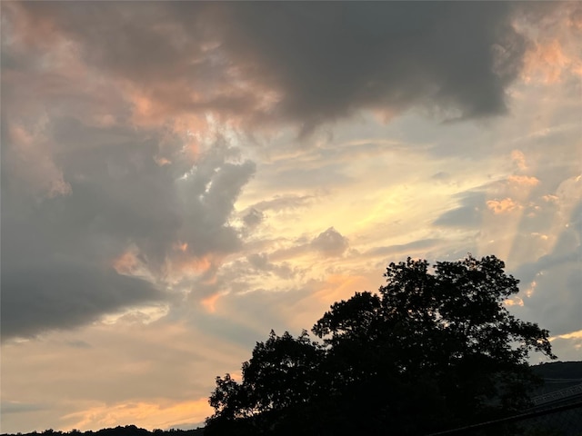 44 Hurlihe Unit 44, Poughkeepsie, NY 12601 - view of nature