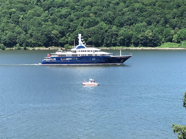 44 Hurlihe Unit 44, Poughkeepsie, NY 12601 - water view featuring a forest and a boat dock