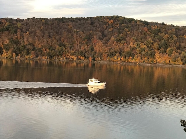 44 Hurlihe Unit 44, Poughkeepsie, NY 12601 - water view with a forest