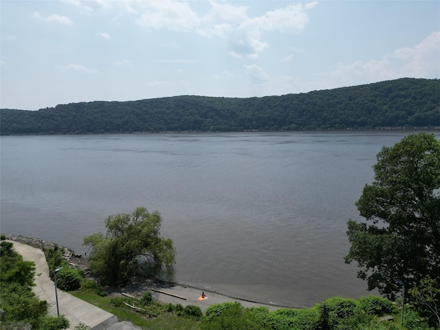 44 Hurlihe Unit 44, Poughkeepsie, NY 12601 - water view with a forest