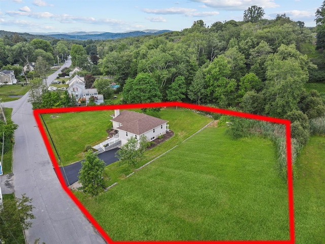 41 Forest Ave, Cortlandt Manor, NY 10567 - aerial overview of property's location with property boundaries highlighted